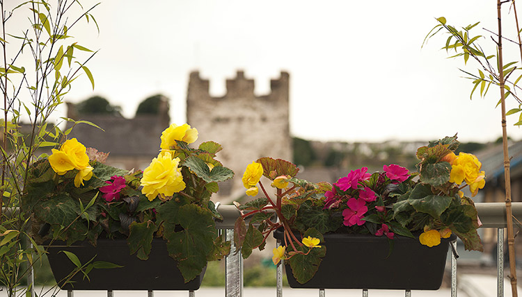 Roseville B&B Bed and Breakfast Accommodation in Youghal-