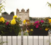 Roseville B&B Bed and Breakfast Accommodation in Youghal